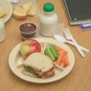 Carlisle 9" Round Melamine Dinner Plate, Tan (4351625) thumbnail 5