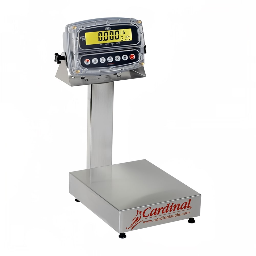 Detecto EB-15-190 Digital Bench Scale, LCD Display, lb/kg/g/oz , 15 x 1/200 lb, 10 x 12"