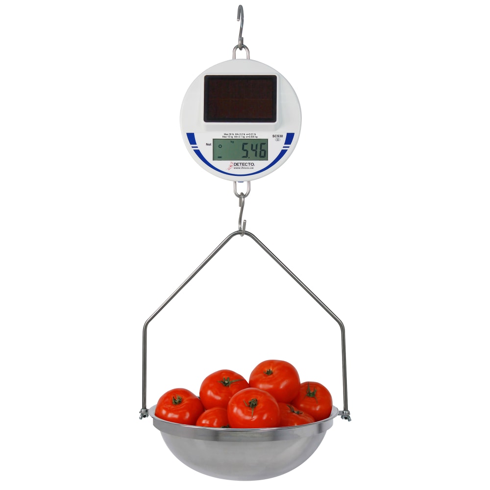 Detecto SCS30 Digital Solar Hanging Scale w/ 30 lb Capacity