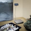 Edlund ERS-150 Digital Receiving Scale w/ 150 lbs x 1/20 lbs, LCD thumbnail 2