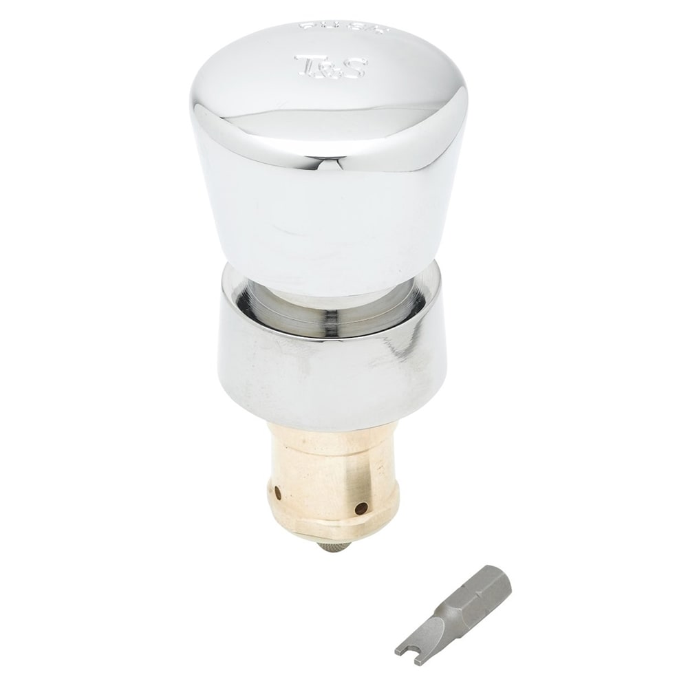 T&S 238AB Self Closing Metering Cartridge w/ Blank Push Button