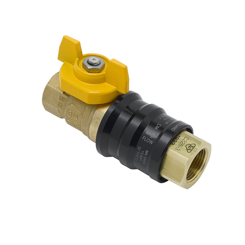 T&S AG-9C Combination Gas Valve w/ Quick Disconnect, 1/2" Female Connections