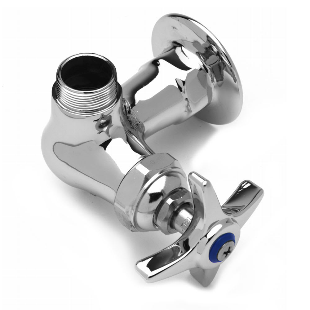 T&S B-0210-LN Single Sink Faucet, 1/2" IPS Female Inlet, Wall Mounted