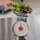 San Jamar SCDLB11 Escali 11 lb Dial Scale w/ Removable Bowl - 6" x 6", Stainless thumbnail 8