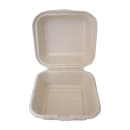 ITI Square Sugar Cane 1-Compartment Hinged Container - 6"x6"x3" (TG-B-66) thumbnail 2