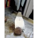 Mercer Culinary M18740 Turner w/ 5" x 3" Blade - Stainless Steel, Polypropylene Handle thumbnail 2