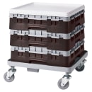 Cambro 25S318167 Camrack® Glass Rack w/ (25) Compartments - (1) Gray Extender, Brown thumbnail 2