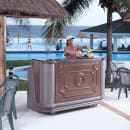 Cambro BAR730DS669 77 5/8" Cambar Portable Bar - 80 lb Ice Sink, Speed Rail, Carmel thumbnail 3