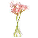 Cambro BV6CW135 6" Bud Vase - Clear thumbnail 3