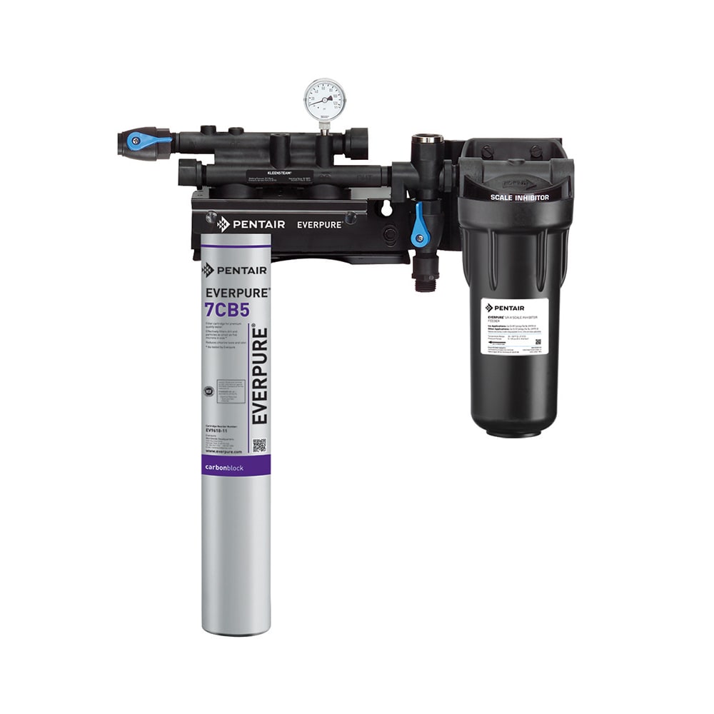 Everpure EV979721 KleenSteam II® Single 7CB5 Combination Water Filter Cartridge Assembly