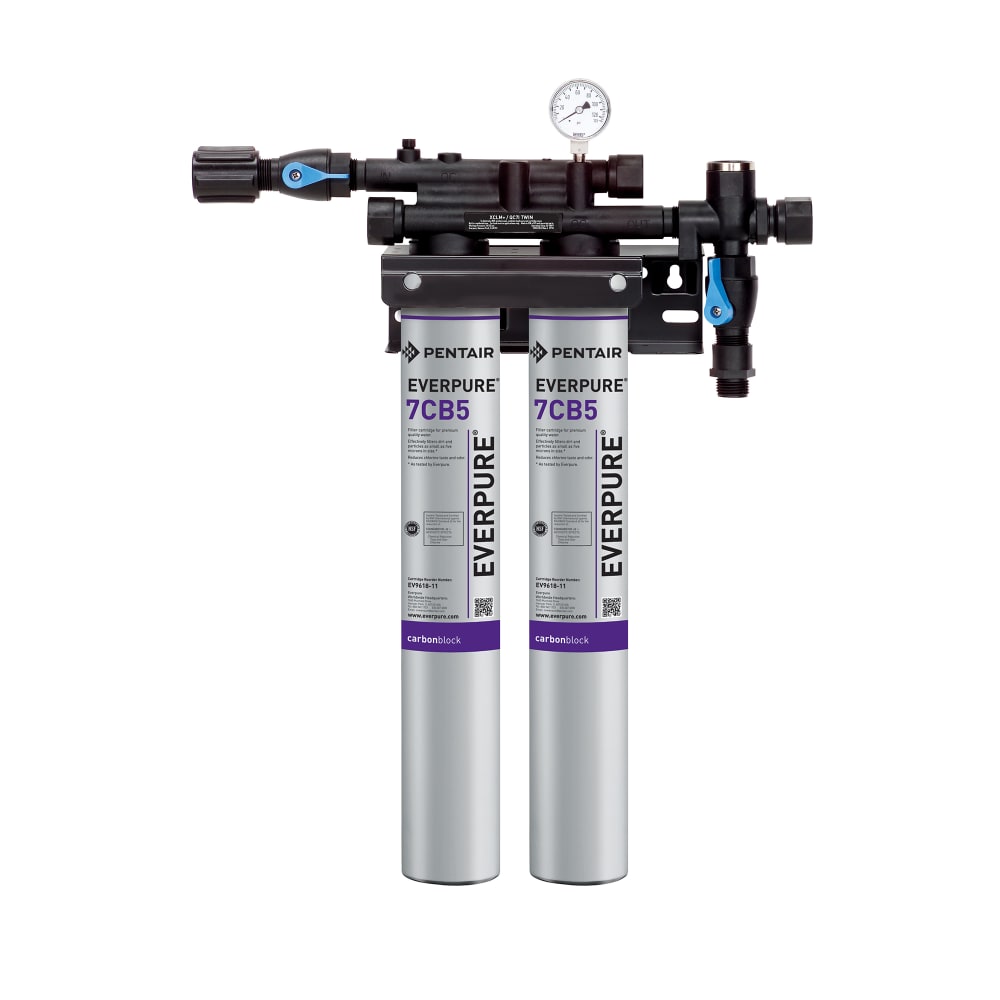 Everpure EV979740 KleenSteam II® Twin 7CB5 Primary Water Filter Cartridge Assembly