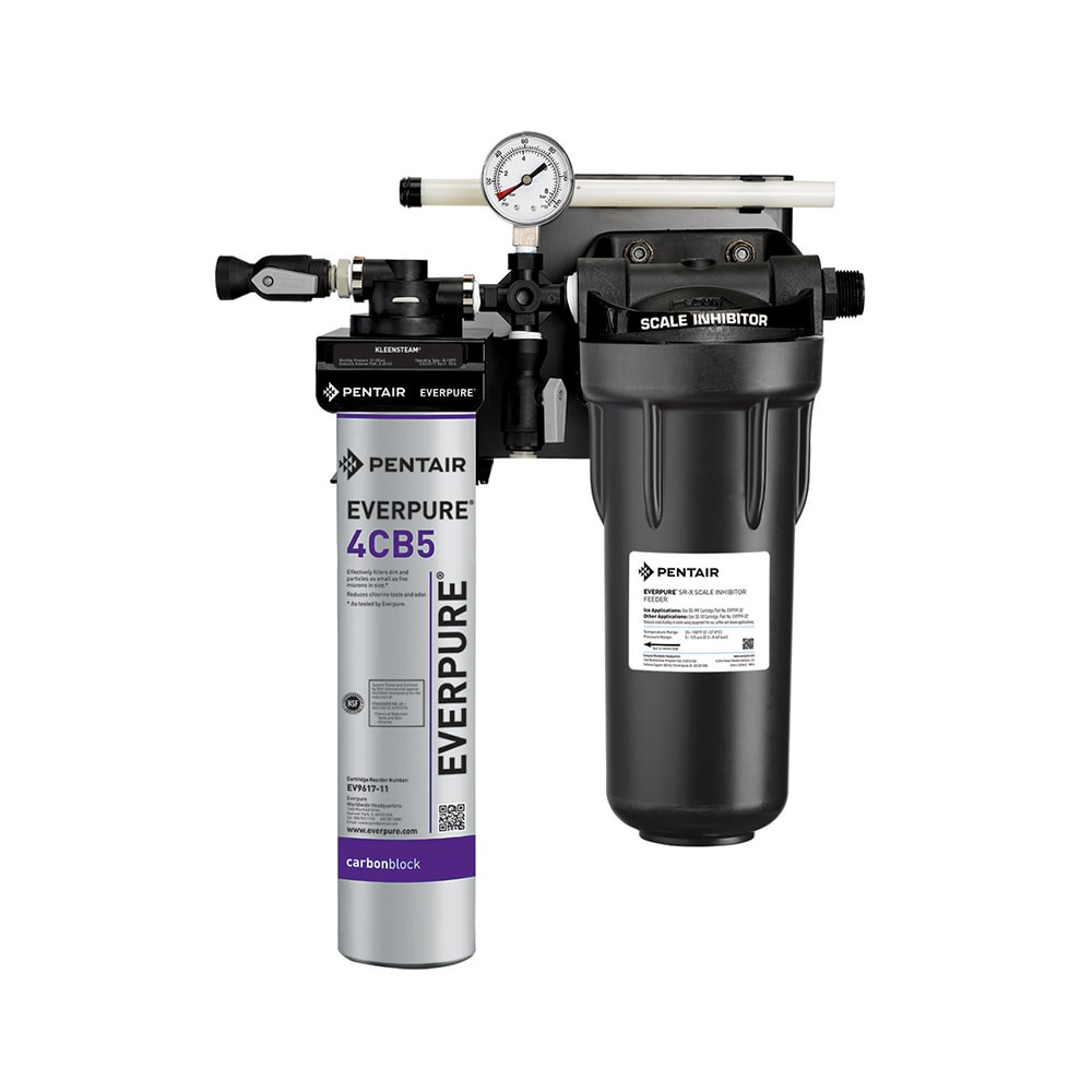 Everpure EV979750 KleenSteam II® Single 4CB5 Combination Water Filter Cartridge Assembly