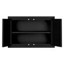 Summit CAB18SHORTBLK Wall Mounted Cabinet - 18"W x 12"D x 12"H, Metal, Black thumbnail 2