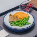 Dinex DX821050 Plastic Base For Smart-Therm Induction Charger, Midnight Blue thumbnail 2