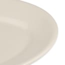 Homer Laughlin HL15700 13 3/8" x 9 1/4" Oval Platter - China, Ivory thumbnail 4