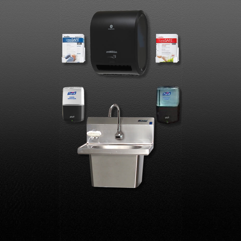 Eagle Group HFL-5000-S Wall Mount Touchless Hand Sink w/ Gooseneck Faucet, Sink Skirt