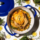 Lodge 7 1/2 qt Cast Iron Dutch Oven, Enamel, Smooth Sailing (U7ID300) thumbnail 6