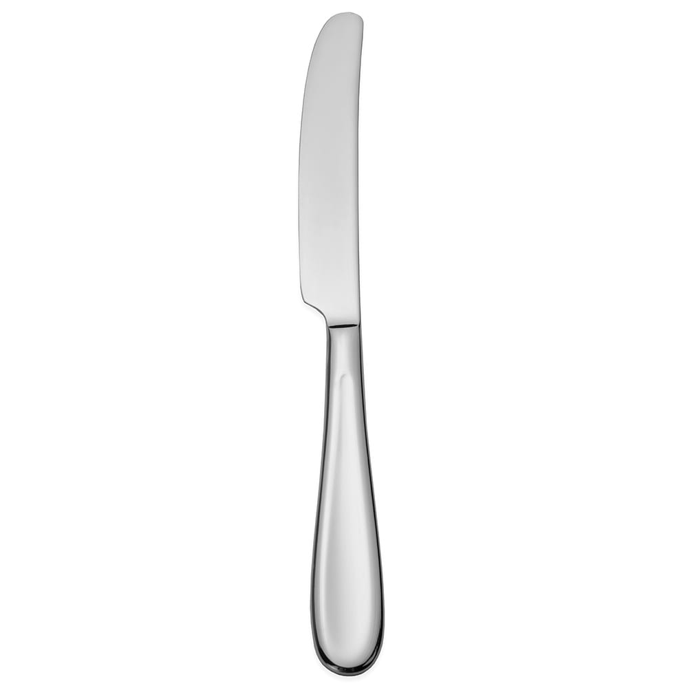 Walco WL4451 9 5/8" Dinner Knife with 18/0 Stainless Grade, Orbiter Pattern