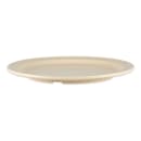 GET 9" Round Melamine Dinner Plate, Tan (DP-509-T) thumbnail 2