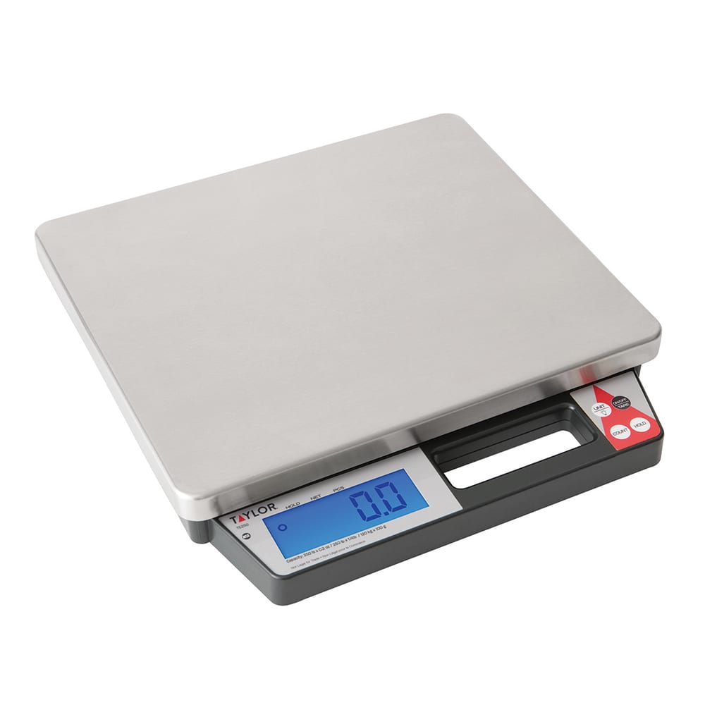 Taylor TE250 250 lb Digital Receiving Scale - 13 1/2" x 11 1/2", Stainless Steel