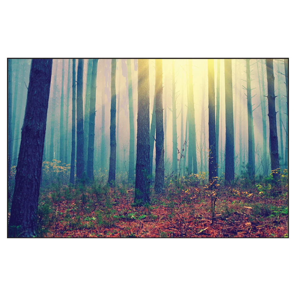 Accuform Signs LPM103X Disposable Work Mat w/ Adhesive Backing - 12 1/2" x 19 1/2", Plastic, Sun Forest