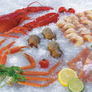 Manitowoc Ice RFF2200C 30" Flake Ice Machine Head - 2169 lb/24 hr, Remote Cooled, 208-230v/1ph thumbnail 10