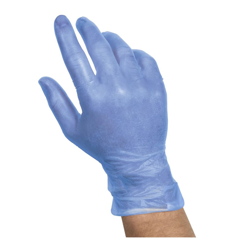 Handgards Valugards General Purpose Vinyl Gloves - Powder Free, Blue, X-Large (304362094)