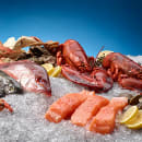 Hoshizaki F-1002MWJ 22" Flake Ice Machine Head - 955 lb/24 hr, Water Cooled, 115v/1ph thumbnail 5