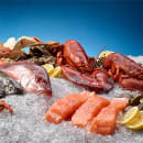 Hoshizaki F-2001MLJ 30" Flake Ice Machine Head - 2280 lb/24 hr, Remote Cooled, 115v/1ph thumbnail 3