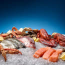 Hoshizaki F-2001MWJ 30" Flake Ice Machine Head - 2043 lb/24 hr, Water Cooled, 208-230v/1ph thumbnail 3