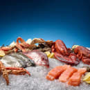 Hoshizaki F-450MAJ/B-300SF 492 lb Slim-Line Flake Ice Machine w/ Bin - 300 lb Storage, Air Cooled, 115v thumbnail 14