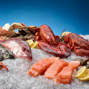 Hoshizaki F-801MAJ 22" Flake Ice Machine Head - 751 lb/24 hr, Air Cooled, 115v/1ph thumbnail 5