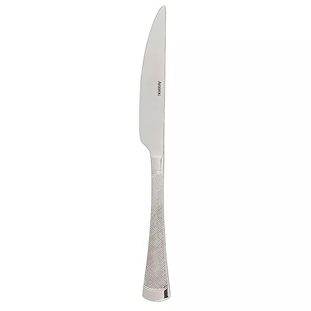 Arcoroc FL104 9" Dinner Knife with18/0 Stainless Grade, Mikayla Pattern