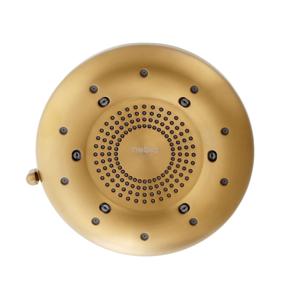 Brondell N400R0BG Commercial Fixed Shower Head - Brushed Gold