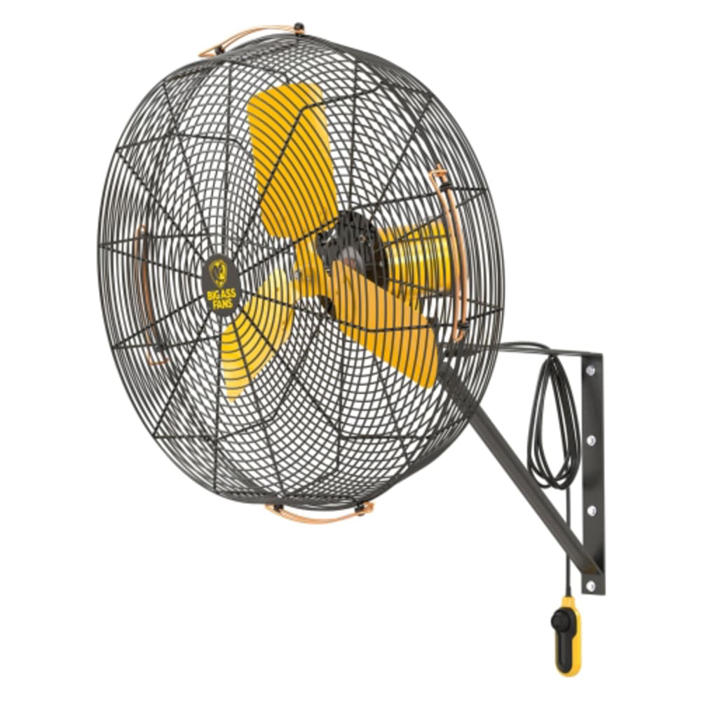 Big Ass Fans F-AE1-2401L13S34 24" AirEye Directional Wall Mount Fan, 120v