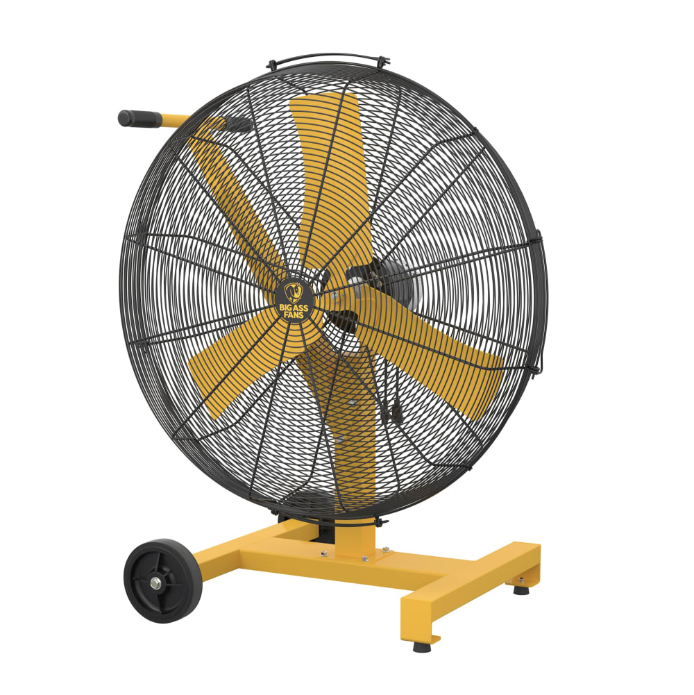 Big Ass Fans F-AE1-3001L10S34 30" AirEye Low Rider Pedestal Mount Fan, 120v