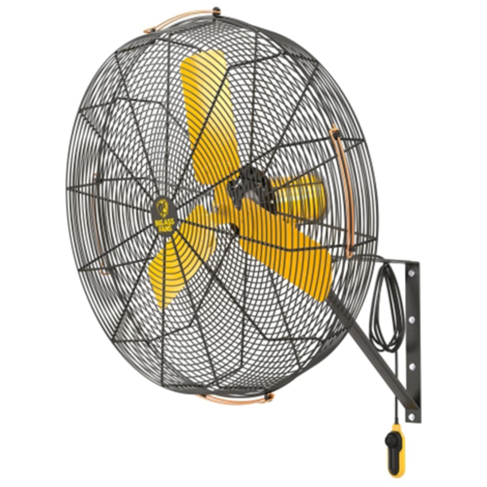 Big Ass Fans F-AE1-3001L13S34 30" AirEye Directional Wall Mount Fan, 120v