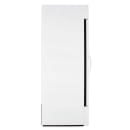 True GDM-23F-HC~TSL01 27" One Section Display Freezer w/ Swing Door - Bottom Mount Compressor, White, 115v thumbnail 4