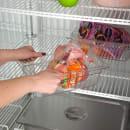 True GDM-49F-HC~TSL01 54 1/8" Two Section Display Freezer w/ Swing Doors - Bottom Mount Compressor, Black, 115/208230v/1ph thumbnail 22