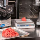 Globe GPS10 Digital Portion Control Scale w/ 10 lb Capacity, Auto Shut Off, 115v thumbnail 9