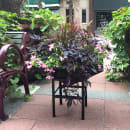 Paragon Geometric Planter w/ Large Stand - Steel, Black (4040BL) thumbnail 6