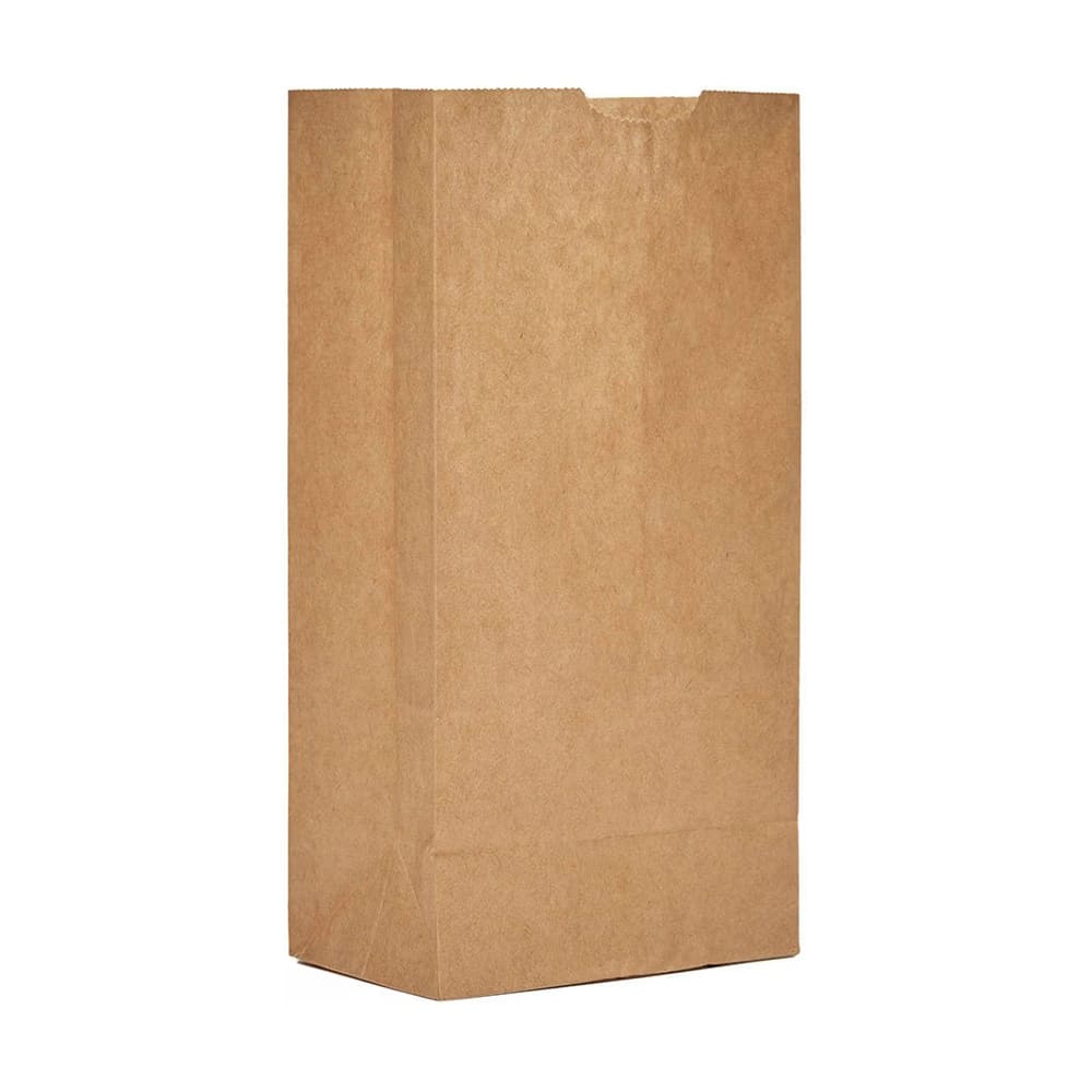 AJM Packaging Grocery Bag - 11" x 5 1/4", Kraft Paper (GB05NP5C)