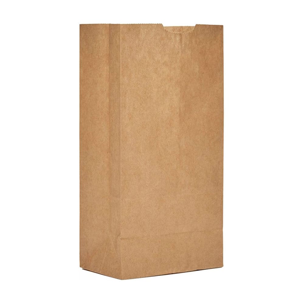 AJM Packaging Grocery Bag - 11" x 6", Kraft Paper (GB06NP5C)