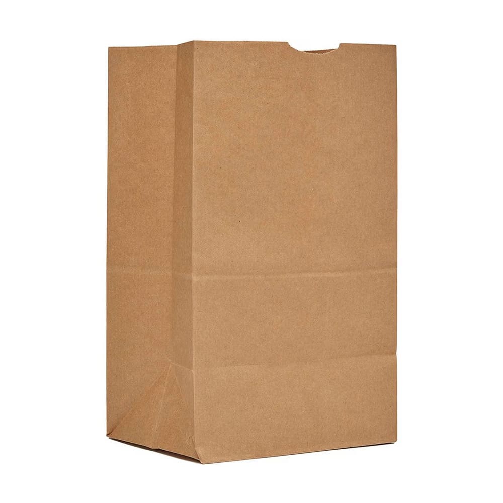 AJM Packaging Grocery Bag - 13 4/5" x 8 1/4", Kraft Paper (SQ40NP5C)