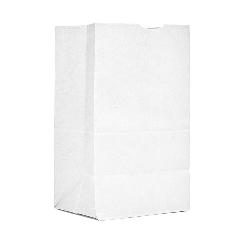 AJM Packaging Grocery Bag - 11" x 6", Paper, White (WB06NP5C)
