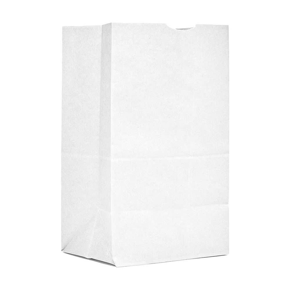 AJM Packaging Grocery Bag - 13 2/5" x 6 3/10", Paper, White (WB10NP5C)