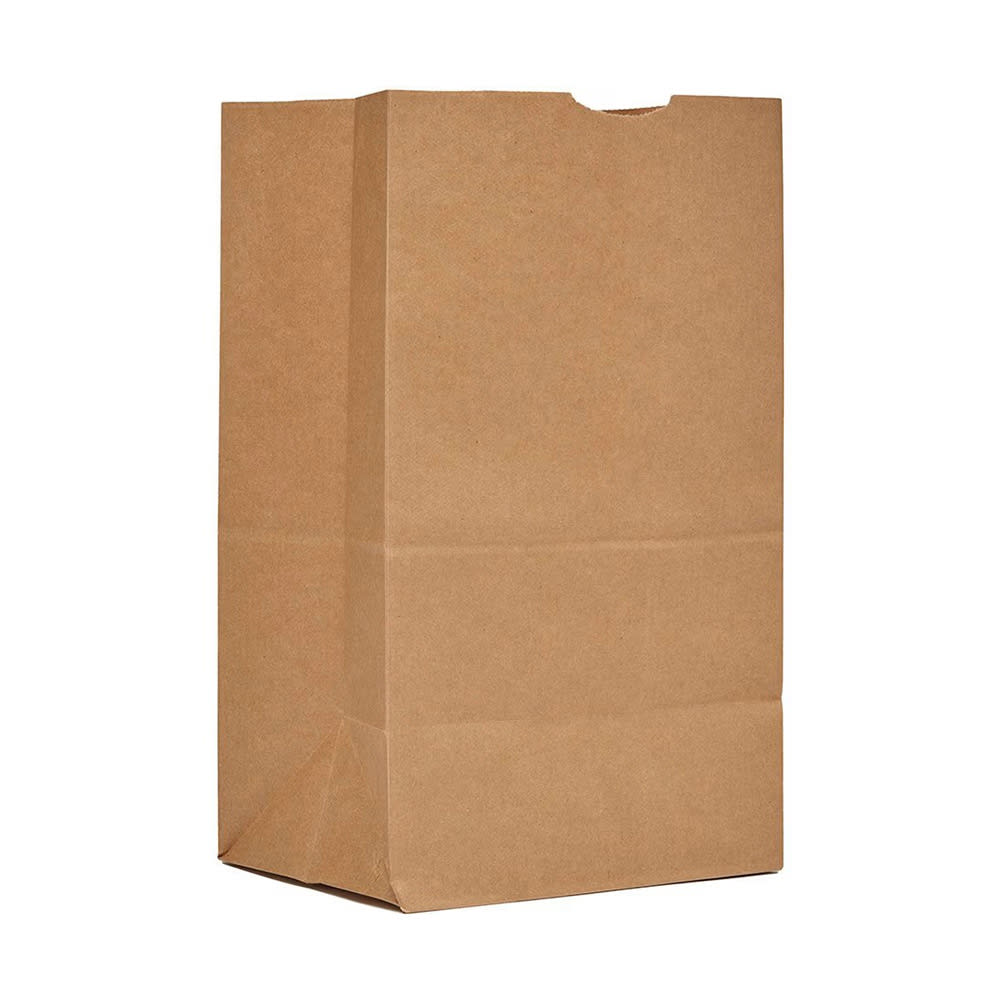 AJM Packaging Grocery Bag - 15 9/10" x 8 1/4", Kraft Paper (SQ50NP5C25HD)
