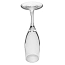 Libbey 3794 4 1/2 oz Embassy Champagne Flute Glass - Safedge Rim & Foot Guarantee thumbnail 3