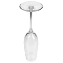 Libbey 9138 8 oz Champagne Flute Glass - Renaissance, Reserve by Libbey® thumbnail 4