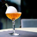 Nachtmann 6 1/4 oz Noblesse Coupe Martini Cocktail Glass (N101105) thumbnail 2